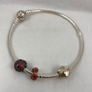 Pandora Charm Bracelet